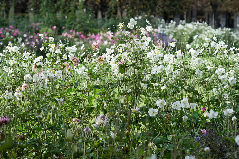 paris-weddinglight-photographer-149