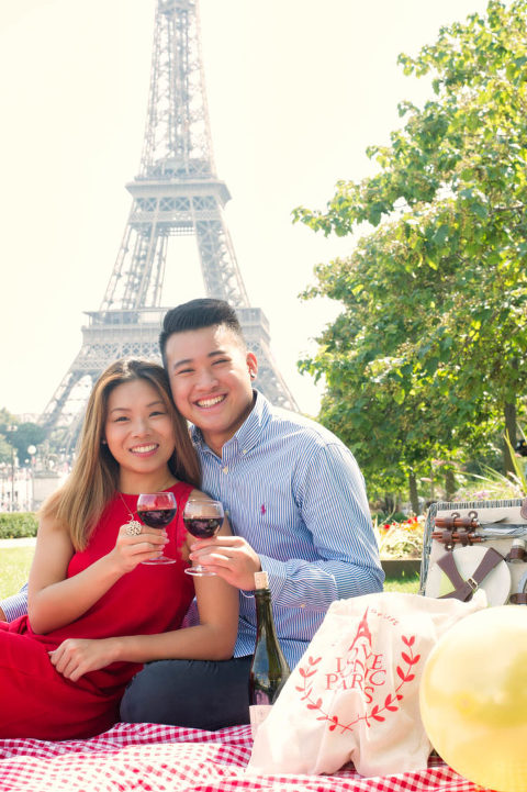 Eiffel tower proposal 